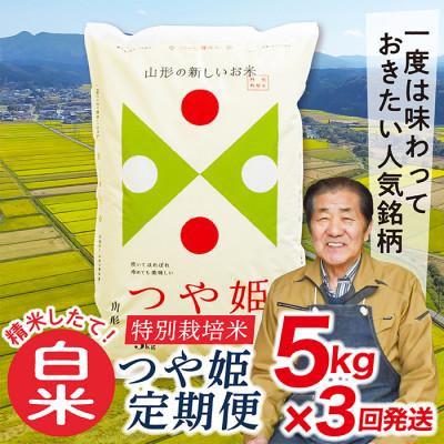ふるさと納税 最上町 [毎月定期便]買い忘れなしで美味しい特別栽培米つや姫5kg(白米)が届く全3回