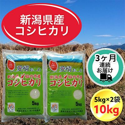 ふるさと納税 胎内市 [毎月定期便][3ヶ月連続お届け]新潟県胎内市産コシヒカリ 精米 10kg(5kg×2袋)全3回