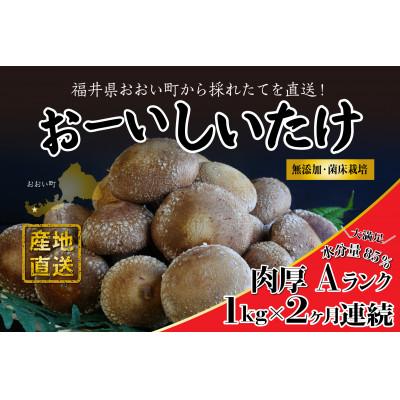 ふるさと納税 おおい町 [毎月定期便]おーいしいたけ 約1kg(1箱) 水分量85%のこだわり無添加福井県おおい町産 全2回