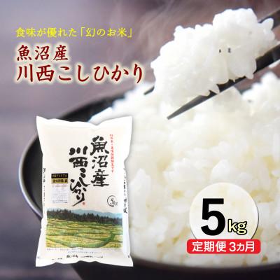 ふるさと納税 十日町市 [毎月定期便]魚沼産川西コシヒカリ 精米 5kg全3回