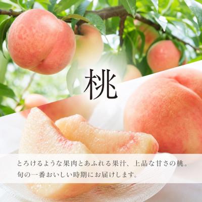 ふるさと納税 印南町 【発送月固定定期便】紀州和歌山産旬のフルーツセット(8月:桃3玉・9月:梨3玉)全2回 |  | 01