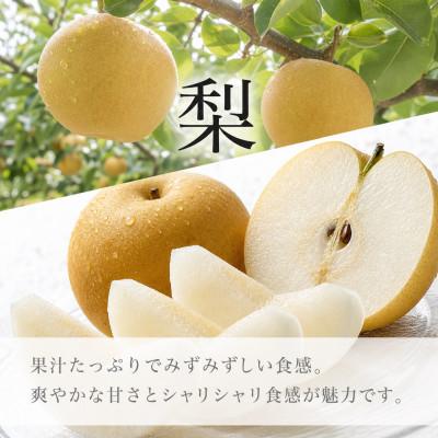 ふるさと納税 印南町 【発送月固定定期便】紀州和歌山産旬のフルーツセット(8月:桃3玉・9月:梨3玉)全2回 |  | 02