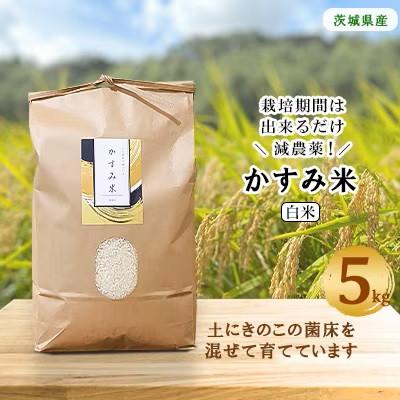 ふるさと納税 潮来市 [毎月定期便]心と身体が踊りだす栽培期間中出来るだけ農薬を減らして作る「かすみ米」白米5kg全6回