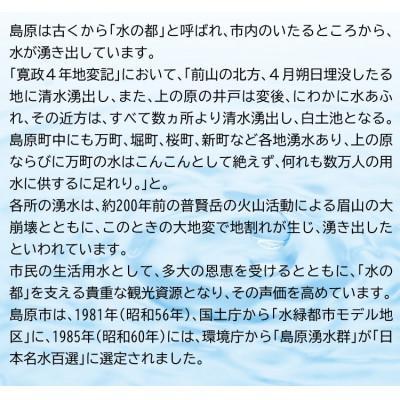 ふるさと納税 島原市 【毎月定期便】山崎本店酒造場 雲仙島原の天然水 20L ナチュラルミネラルウォーター 全12回の画像