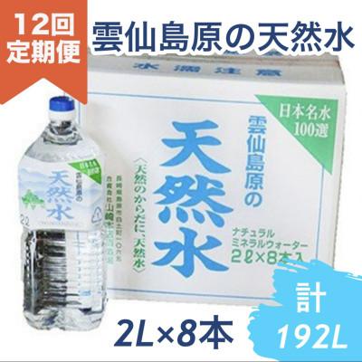 ふるさと納税 島原市 [毎月定期便]山崎本店酒造場 雲仙島原の天然水 2L 8本全12回