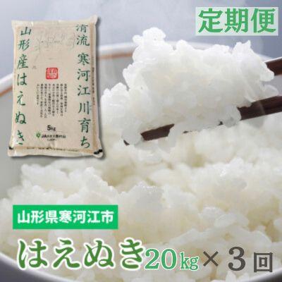 ふるさと納税 寒河江市 [毎月定期便]はえぬき20kg(5kg×4袋)全3回