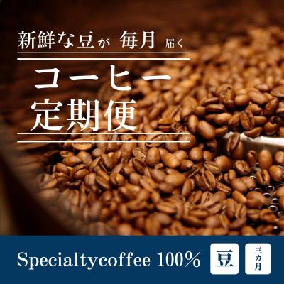 ふるさと納税 豊川市 [毎月定期便]毎月違うコーヒー豆をお届け スペシャルティコーヒー 豆 300g全3回