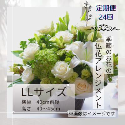 ふるさと納税 筑西市 [2週間毎定期便]仏花アレンジメント/LLサイズ〜花瓶不要!届いてそのまま飾れます全24回