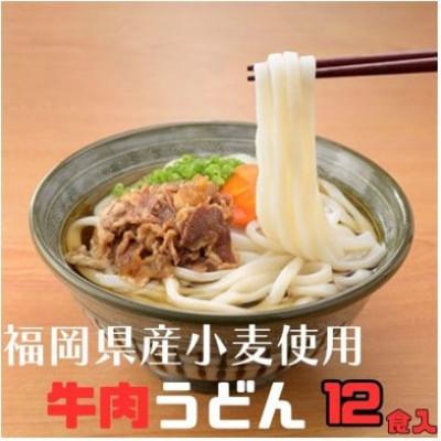 ふるさと納税 豊前市 [毎月定期便]牛肉うどん 12食入り×全3回