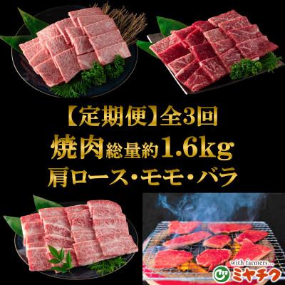 ふるさと納税 三股町 [毎月定期便]A4以上宮崎牛計約1.6kg焼肉味わいセット肩ロースモモバラ[MI243]三股町全3回