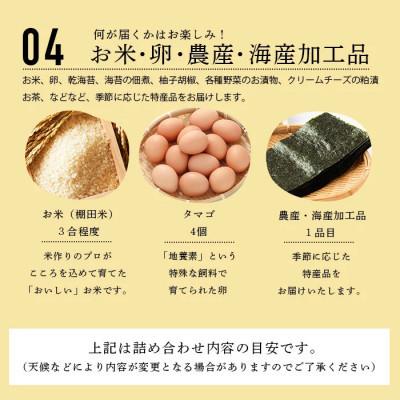 ふるさと納税 鹿島市 【毎月定期便】肥前の国の農産物大満足セット(野菜・卵・米・果物等)14品目程度詰め合わせ鹿島市全3回 |  | 03