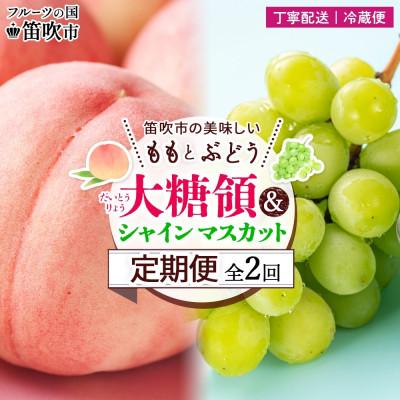 ふるさと納税 笛吹市 [発送月固定定期便]笛吹市の桃とぶどう 大糖領 1.5kg&amp;シャインマスカット 1房 600g全2回