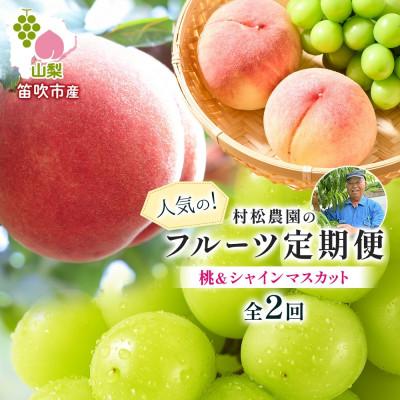 ふるさと納税 笛吹市 [発送月固定定期便]桃 シャインマスカット 人気のフルーツ定期便 村松農園全2回