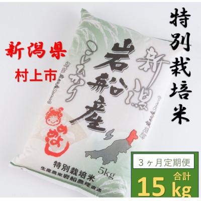ふるさと納税 村上市 [毎月定期便]特別栽培米 岩船米コシヒカリ 精米 5kg 1013006全3回