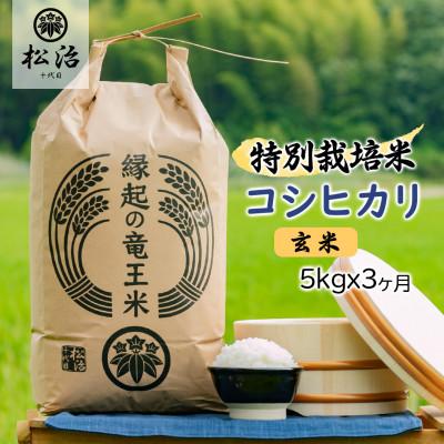 ふるさと納税 竜王町 [毎月定期便]特別栽培米コシヒカリ 玄米5kg×3ヶ月 縁起の竜王米全3回