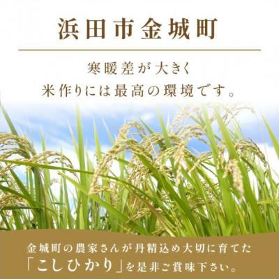 ふるさと納税 浜田市 【毎月定期便】浜田市金城町産こしひかり　4kg全3回 |  | 01