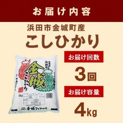 ふるさと納税 浜田市 【毎月定期便】浜田市金城町産こしひかり　4kg全3回 |  | 02