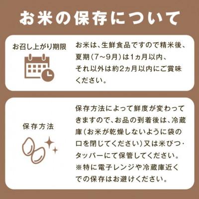 ふるさと納税 浜田市 【毎月定期便】浜田市金城町産こしひかり　4kg全3回 |  | 03