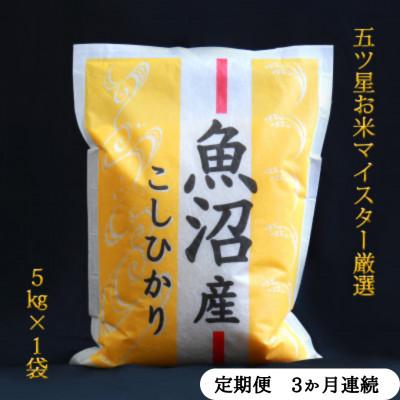 ふるさと納税 魚沼市 [毎月定期便]五つ星お米マイスター厳選 無洗米北魚沼産コシヒカリ5kg全3回