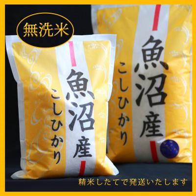 ふるさと納税 魚沼市 【毎月定期便】五つ星お米マイスター厳選 無洗米北魚沼産コシヒカリ5kg全3回_1