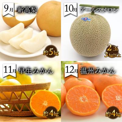 ふるさと納税 南島原市 【発送月固定定期便】果物屋が選ぶ旬のフルーツ定期便 いちご びわ みかん メロン 梨 など全12回 |  | 03