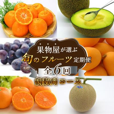 ふるさと納税 南島原市 [発送月固定定期便]果物屋が選ぶ旬のフルーツ定期便 偶数月発送コース全6回
