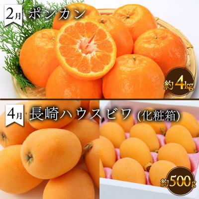 ふるさと納税 南島原市 【発送月固定定期便】果物屋が選ぶ旬のフルーツ定期便 偶数月発送コース全6回 |  | 01