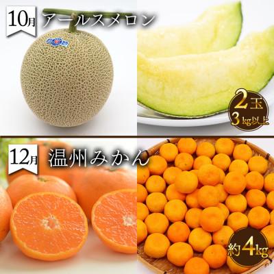 ふるさと納税 南島原市 【発送月固定定期便】果物屋が選ぶ旬のフルーツ定期便 偶数月発送コース全6回 |  | 03