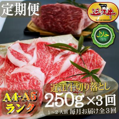 ふるさと納税 寝屋川市 [毎月定期便]ハラル切り落とし250g×全3回