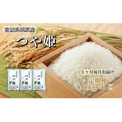 ふるさと納税 栗原市 [毎月定期便]つや姫白米5kg 宮城県栗原産全3回