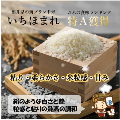 ふるさと納税 あわら市 【毎月定期便】いちほまれ 無洗米 2kg×3袋(計6kg)全3回の画像