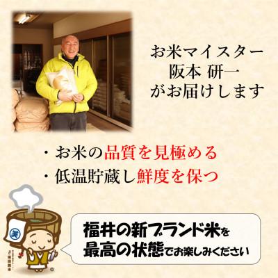 ふるさと納税 あわら市 【毎月定期便】いちほまれ 無洗米 2kg×3袋(計6kg)全3回の画像