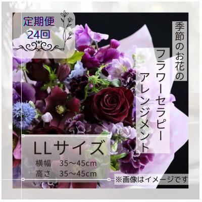 ふるさと納税 筑西市 [2週間毎定期便]癒しのフラワーセラピーアレンジメント/LLサイズ全24回