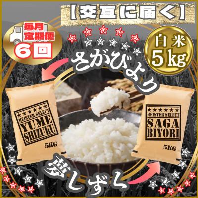 ふるさと納税 江北町 [毎月定期便]食べ比べ白米5kg(さがびより・夢しずく)(江北町)全6回
