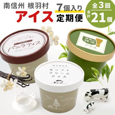 ふるさと納税 根羽村 [発送月固定定期便]3種類のアイス定期便☆根羽村産アイスが毎月7個届く! 合計21個全3回