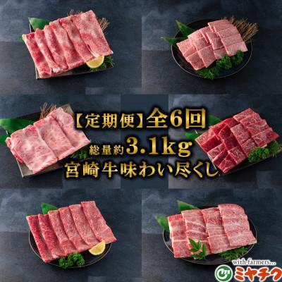 ふるさと納税 三股町 [発送月固定定期便]A4等級以上宮崎牛味わい尽くし総量約3.1kg[MI076](三股町)全6回