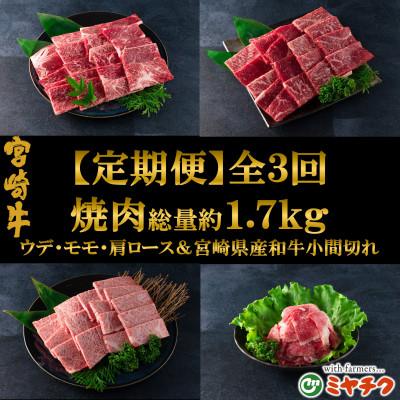ふるさと納税 三股町 [発送月固定定期便]総量約1.7kg宮崎牛焼肉&amp;和牛小間切れ付き[MI241](三股町)全3回