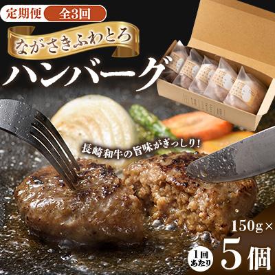 ふるさと納税 諫早市 [毎月定期便]ながさきふわとろハンバーグ 150g×5個入全3回