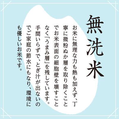 ふるさと納税 十日町市 【毎月定期便】魚沼産コシヒカリ無洗米(精米)[2kg×1袋]全6回の画像