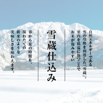 ふるさと納税 十日町市 【毎月定期便】魚沼産コシヒカリ 無洗米 精米4kg(2kg×2袋)全3回の画像