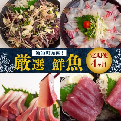 ふるさと納税 須崎市 [毎月定期便]漁師町厳選 鮮魚 4ヶ月定期便全4回