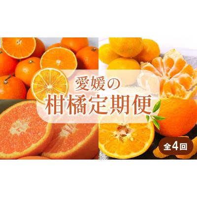 ふるさと納税 松山市 [発送月固定定期便]柑橘(興居島みかん あいか28号 はれひめ いよかん)全4回
