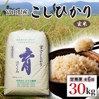 ふるさと納税 南砺市 [発送月固定定期便]富山県産こしひかり 育(はぐくみ) 玄米30kg[南砺の逸品]全6回