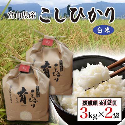 ふるさと納税 南砺市 [発送月固定定期便]富山県産こしひかり 育(はぐくみ) 白米3kg×2袋[南砺の逸品]全12回