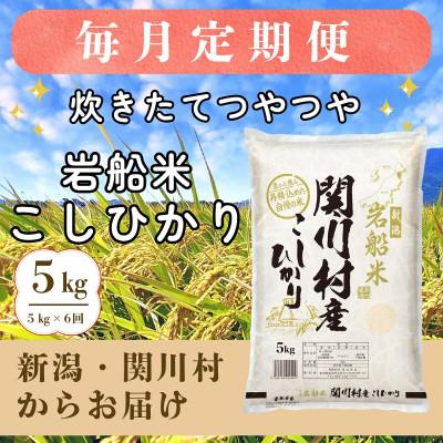 ふるさと納税 関川村 [毎月定期便]炊きたてつやつや 新潟関川村産 岩船米こしひかり 精米 5kg [星山米店]全6回