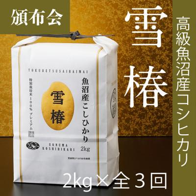 ふるさと納税 津南町 [毎月定期便]高級魚沼産コシヒカリ「雪椿」精米 2kg(2kg×1袋) 特別栽培米全3回