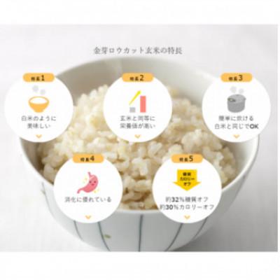 ふるさと納税 田尻町 【毎月定期便】金芽ロウカット玄米4kg(2kg×2袋)ふっくら柔らかい美味しさ!全4回の画像