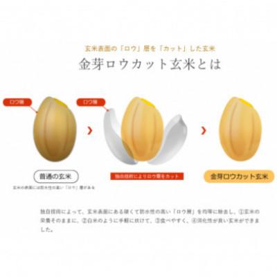 ふるさと納税 田尻町 【毎月定期便】金芽ロウカット玄米4kg(2kg×2袋)ふっくら柔らかい美味しさ!全4回の画像