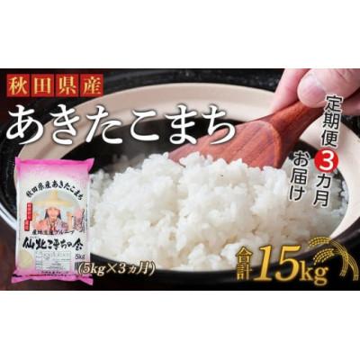 ふるさと納税 大仙市 [毎月定期便]秋田県産あきたこまち(5kg)全3回