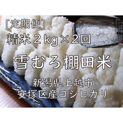 ふるさと納税 上越市 [毎月定期便]雪むろ棚田米コシヒカリ 2kg 精米[新潟県上越市安塚区産]全2回
